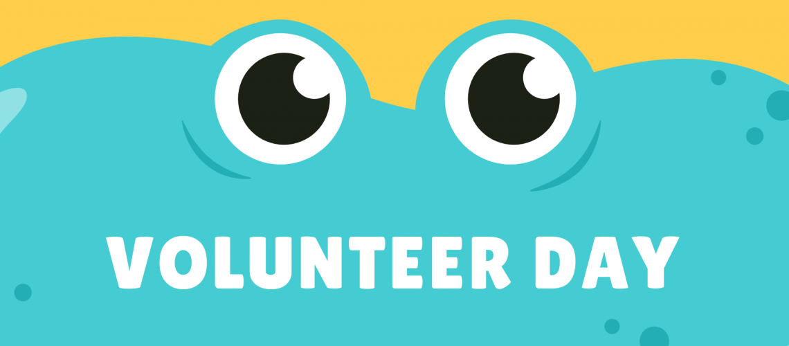 Volunteer Day - výřez