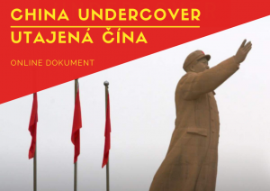 ONLINE Documentary